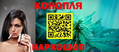 индика Беслан