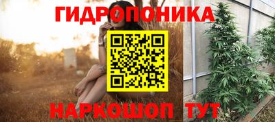 индика Беслан