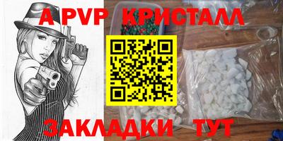 индика Беслан