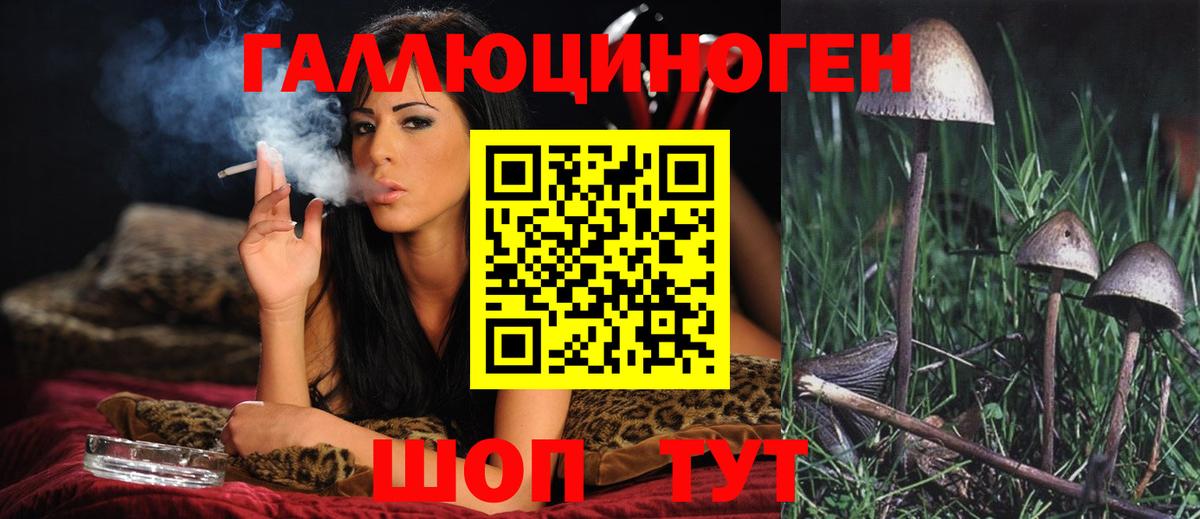 Камень-на-Оби  где продают наркотики  Вход с VPN  Псилоцибиновые грибы мухоморы  Псилоцибиновые грибы ЛСД 